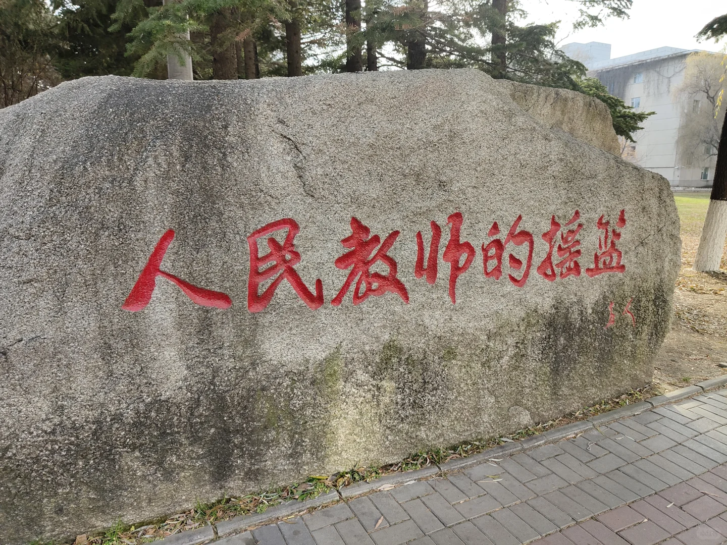 上岸滨海高中英语笔试经验分享