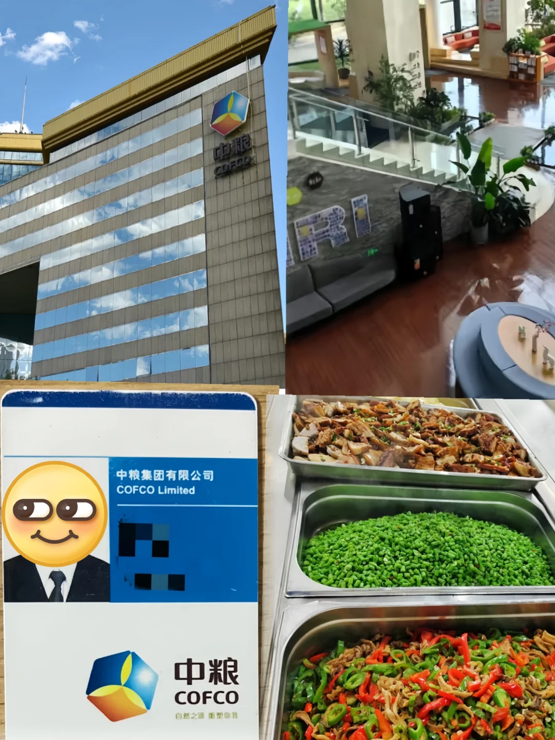 7.5中粮集团大量招暑期实习继任中。可内推