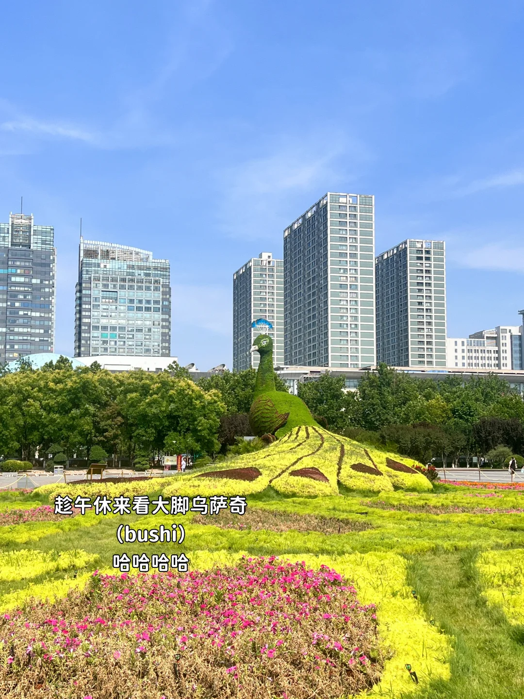 00后勇闯招聘圈|重生之我在石家庄当hr