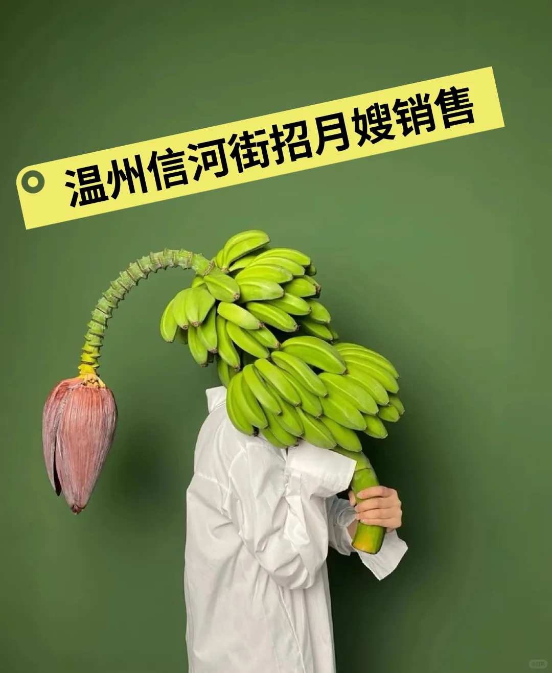 来工作赚钱就不焦虑