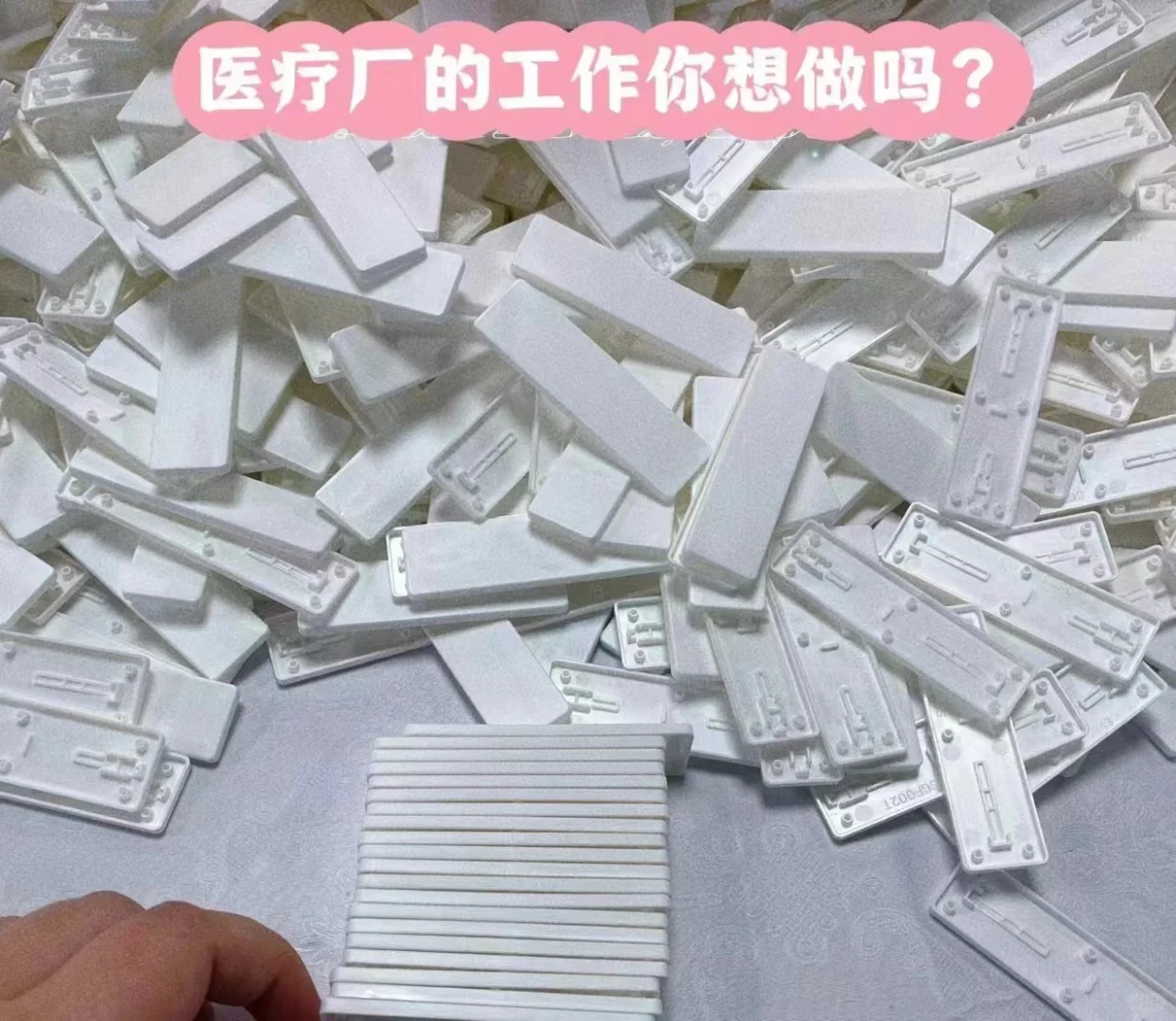 厂区直招不是中介