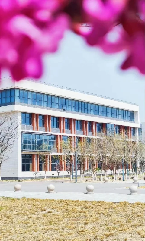 山东化工职业学院辅导员本科可报、无笔试
