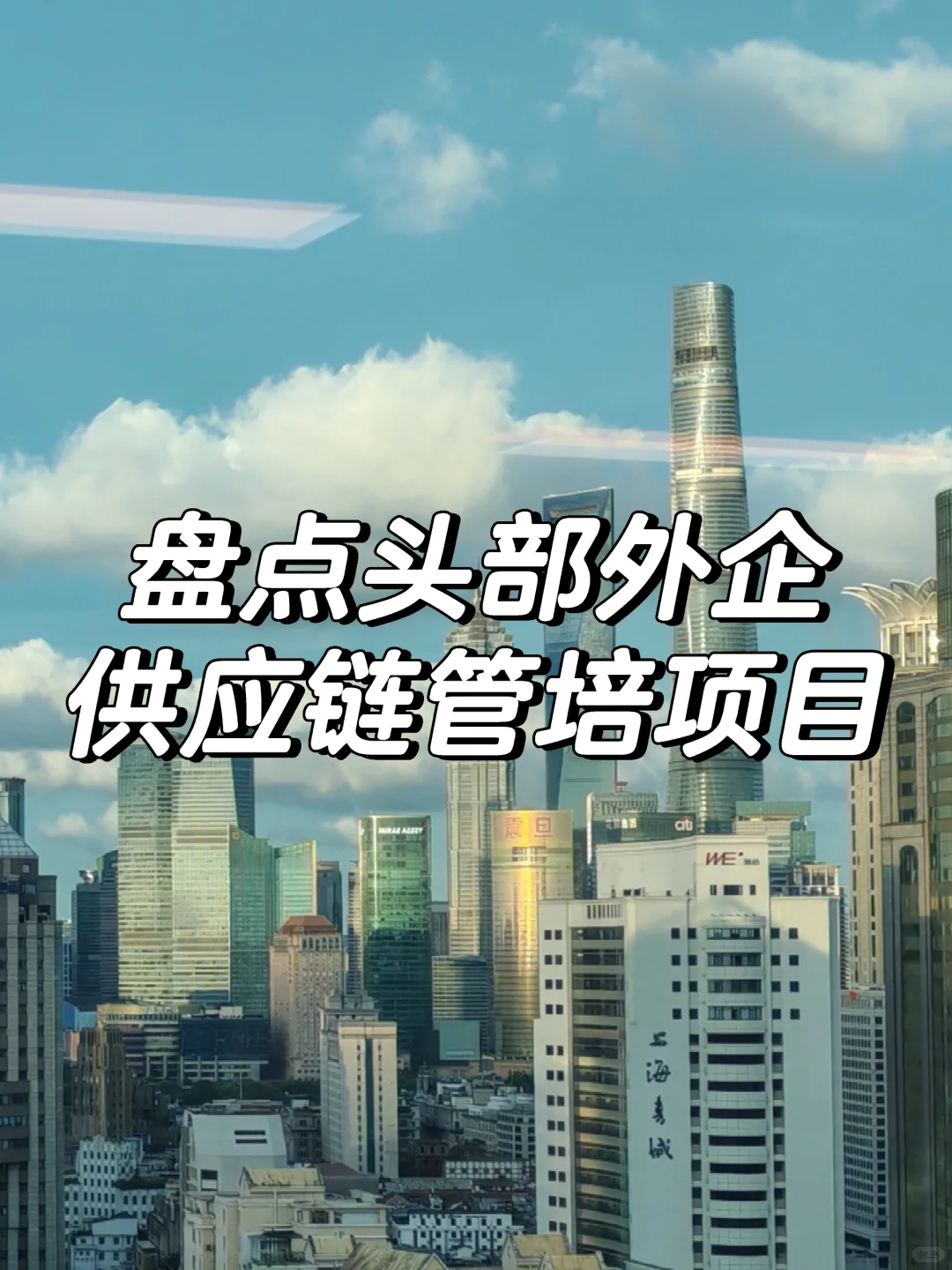 盘点头部外企供应链管培项目