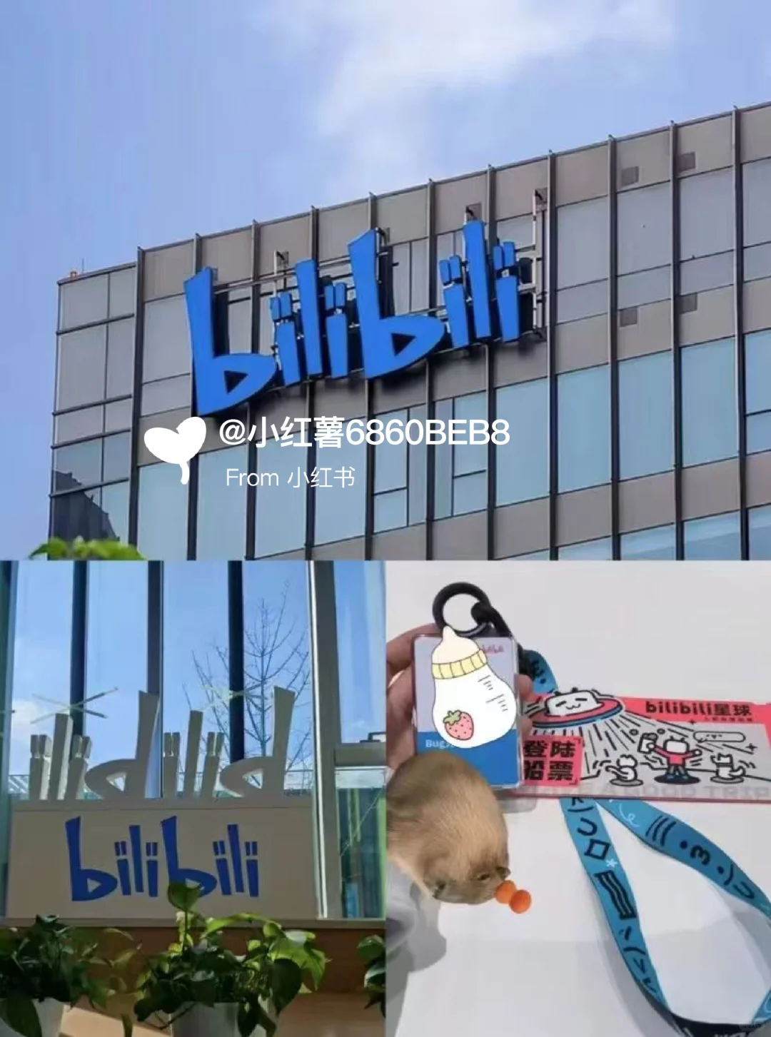有26届同学暑期想来哔哩哔哩实习吗？