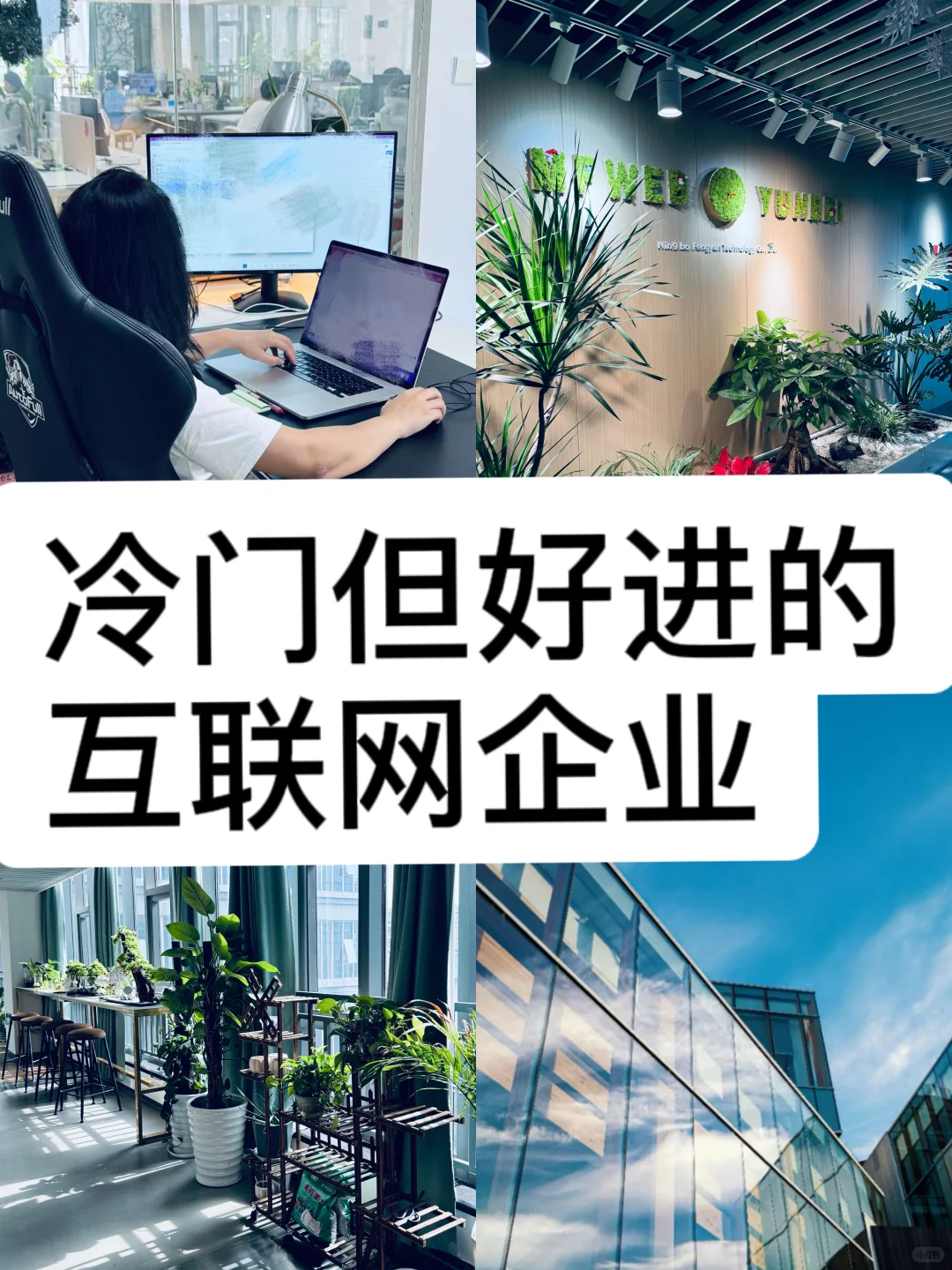 宁波冷门互联网公司:好进、小而美,速码!