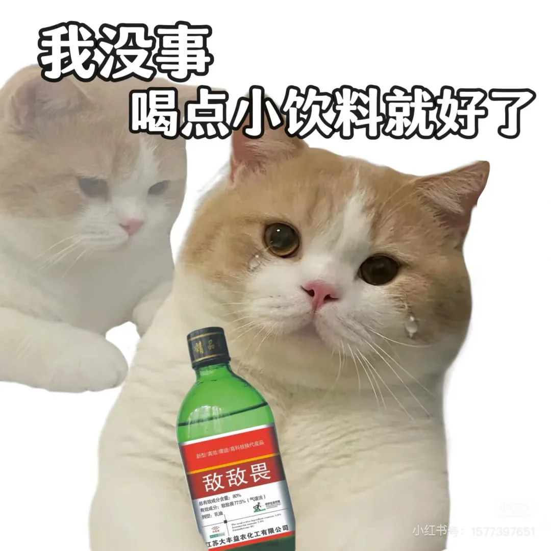 HR总监/大厂背景擅长技术岗招聘｜猎头转岗！