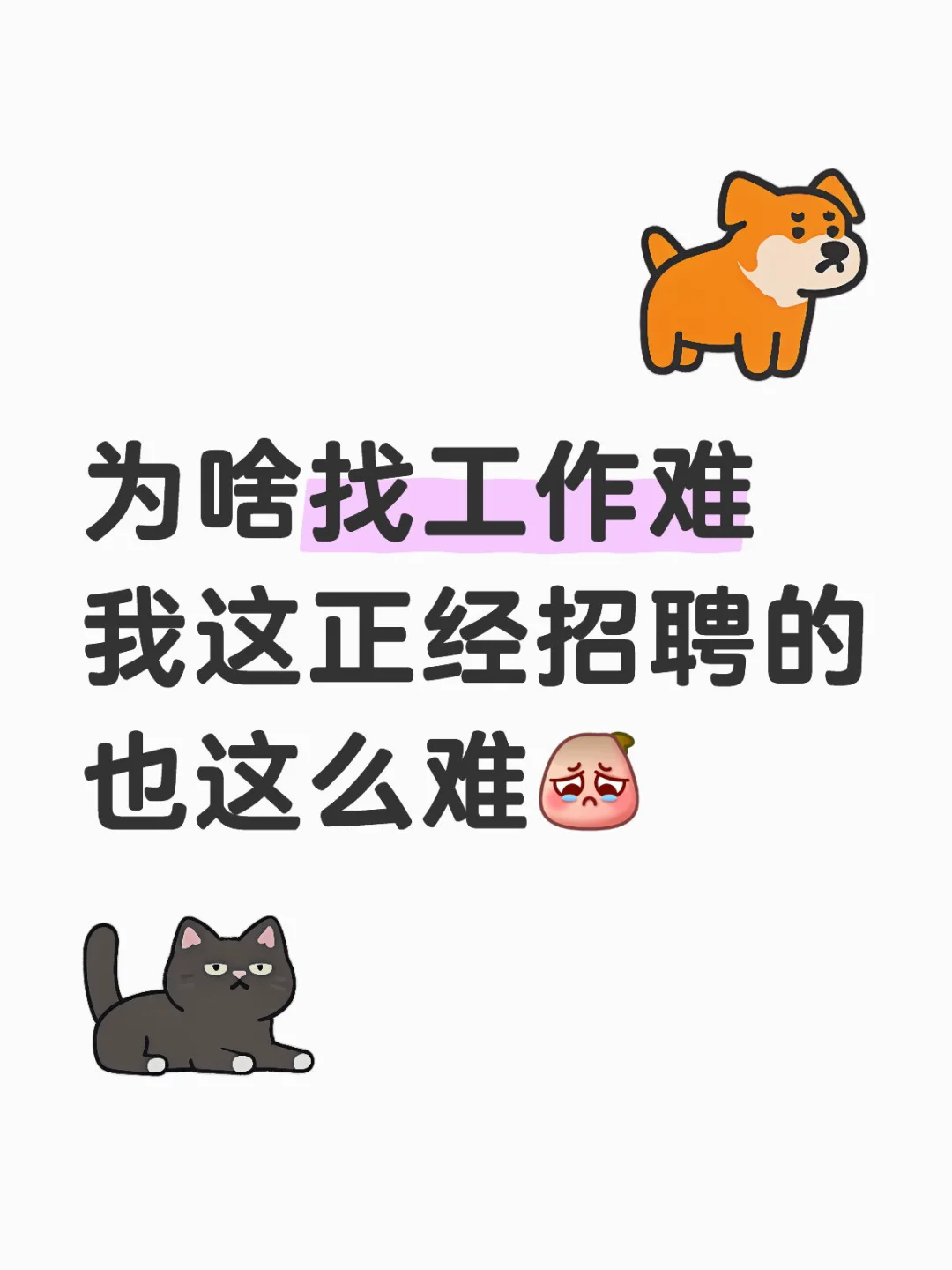 石家庄是一个没有人找工作的城市