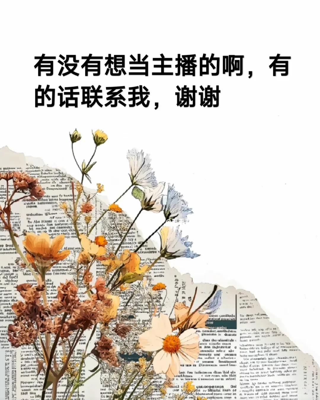 大海星辰直播基地招聘主播啦