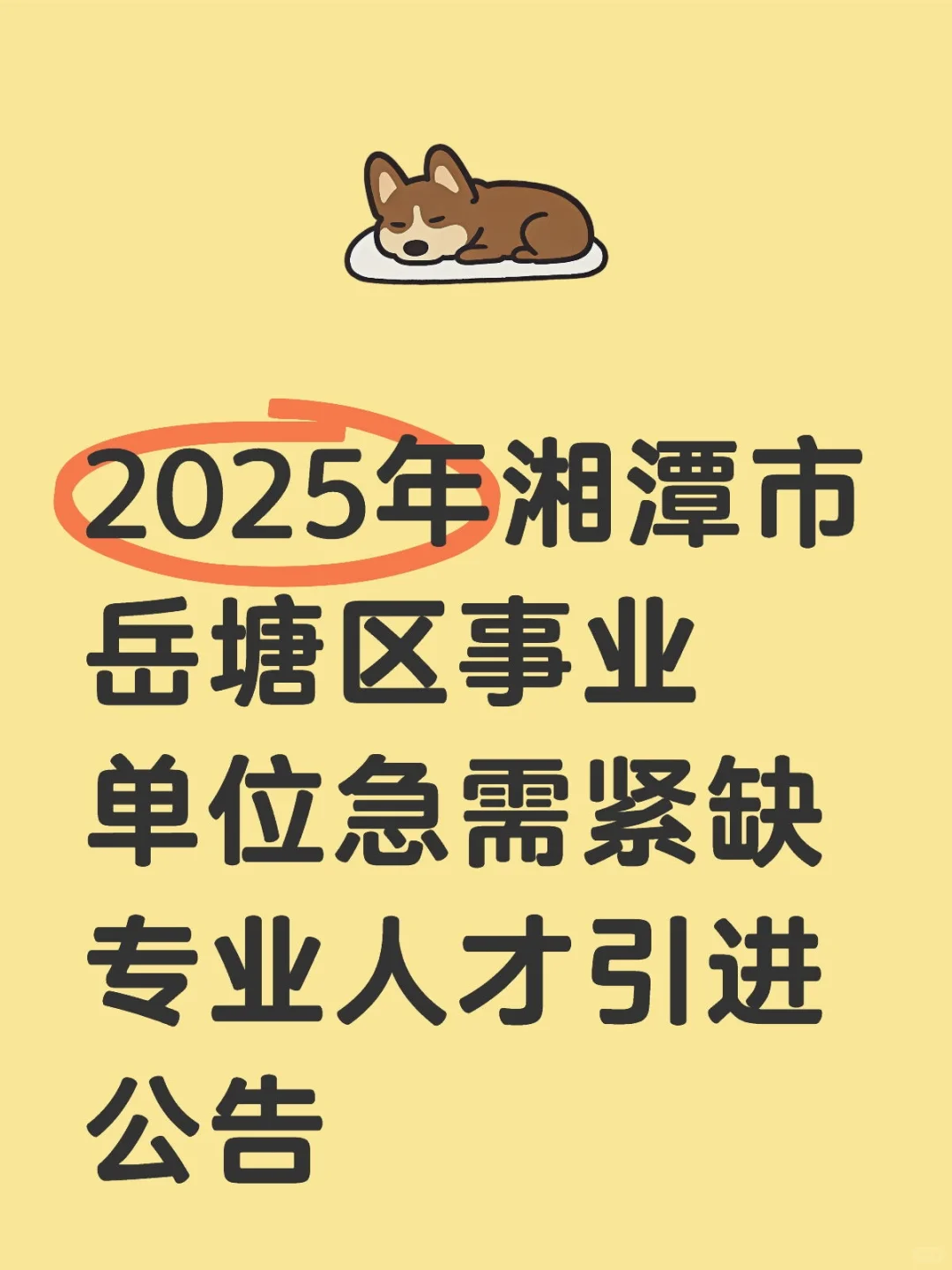 2025年湘潭市岳塘区事业单位人才引进公告!