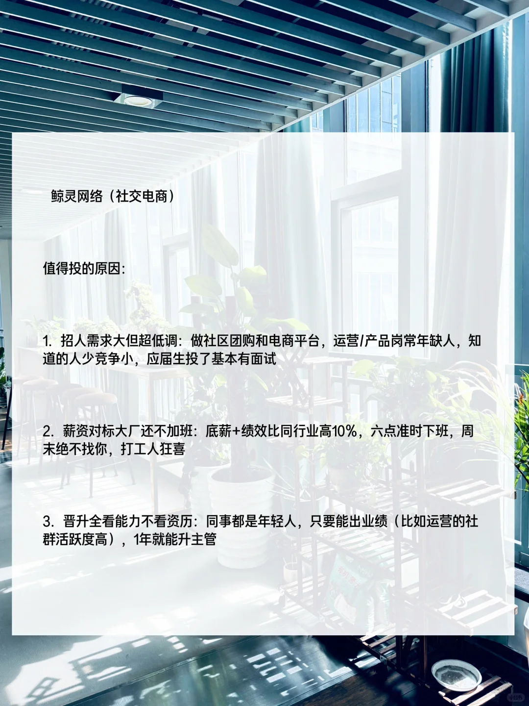 宁波冷门互联网公司:好进、小而美,速码!