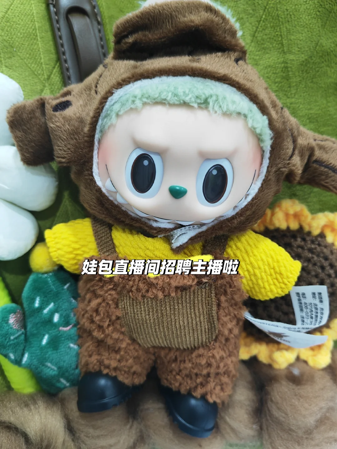 潮玩娃包直播间招聘主播了！