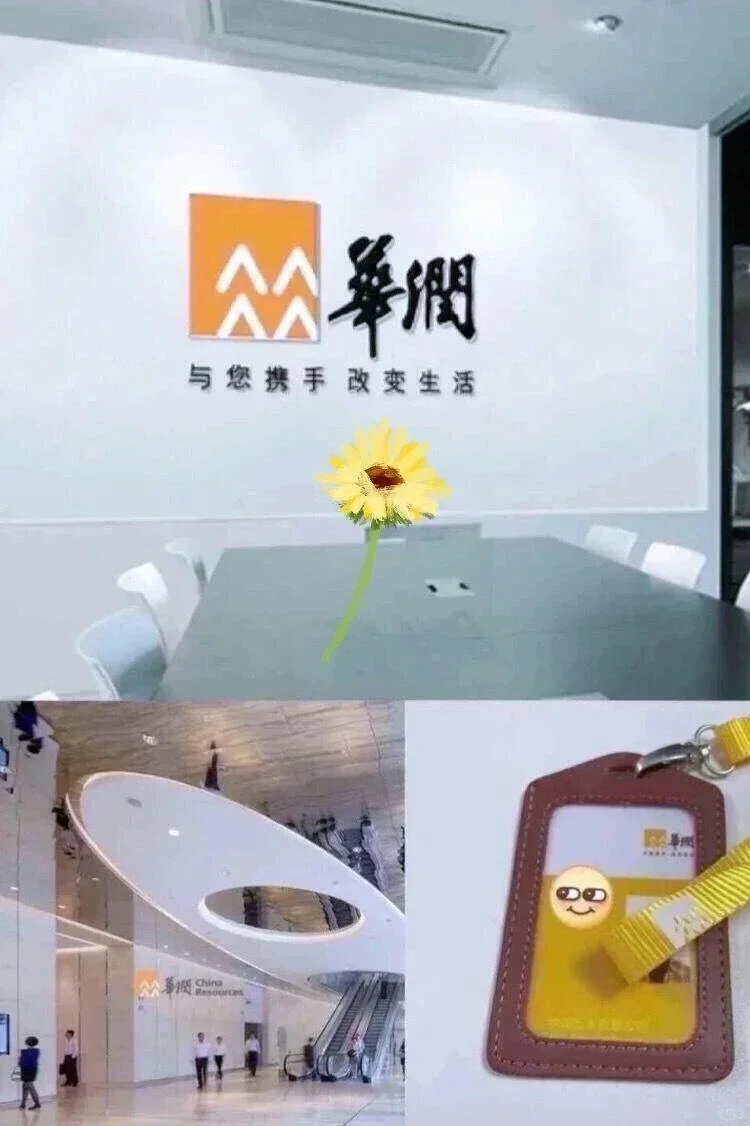 华润集团急捞!!有没有七月能来的应届毕