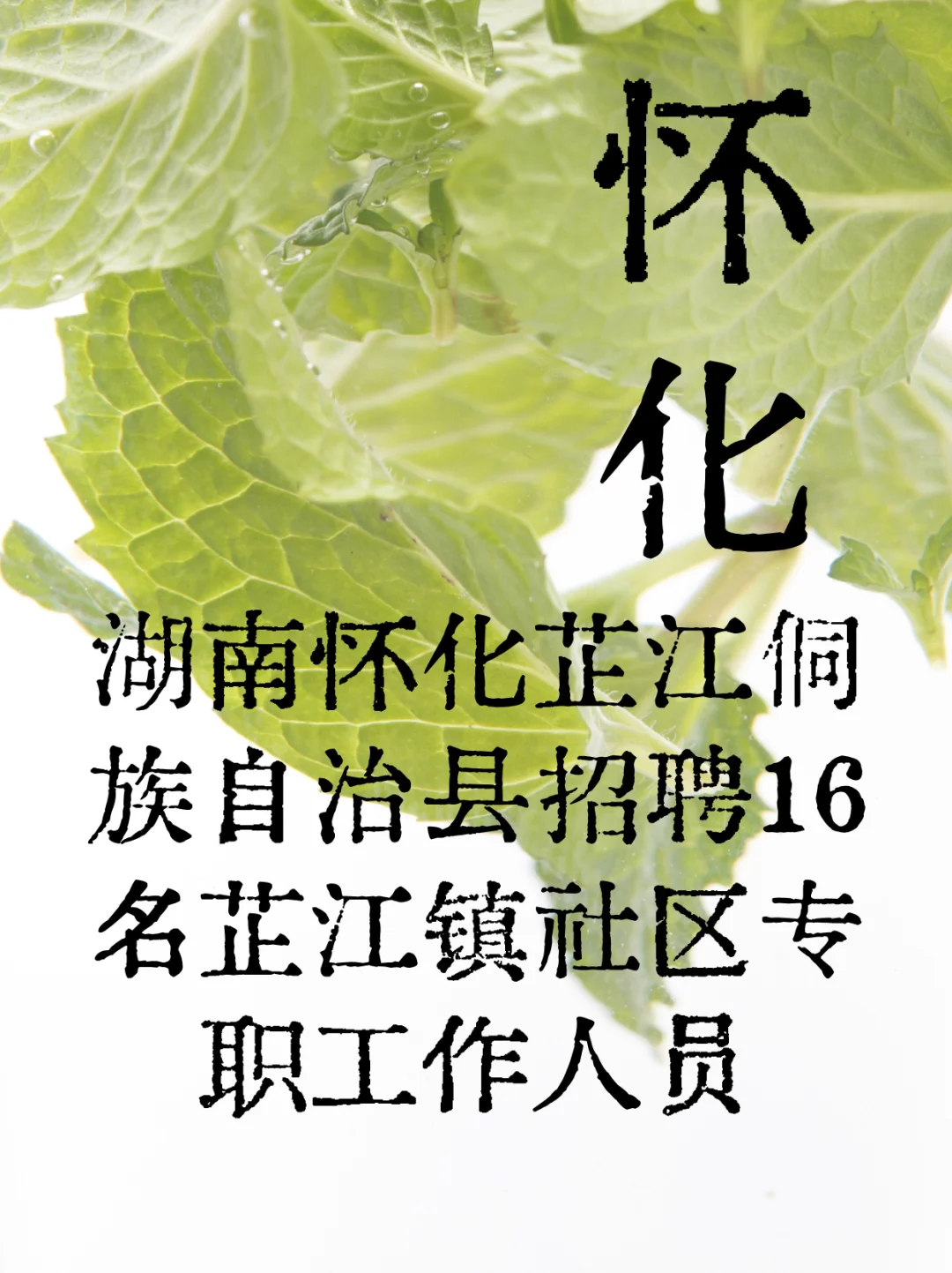怀化芷江急招!16个社区专职岗位带编上岸!