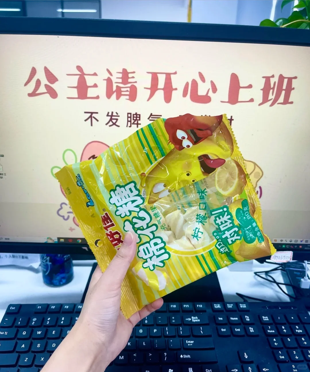 多岗位招聘欢迎滴滴