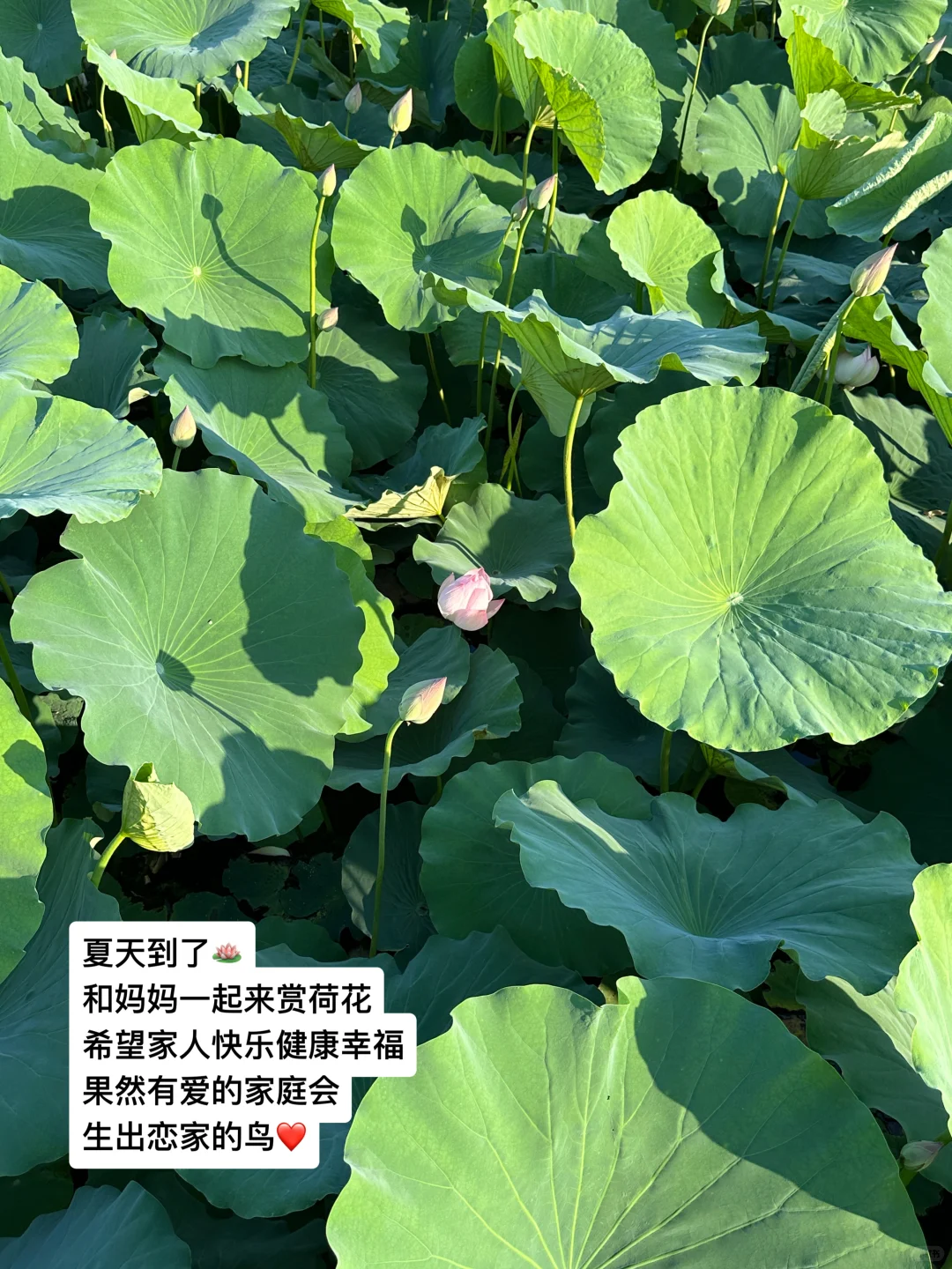 ?‍?外贸牛马月薪3200 攒100万要多久啊❗️