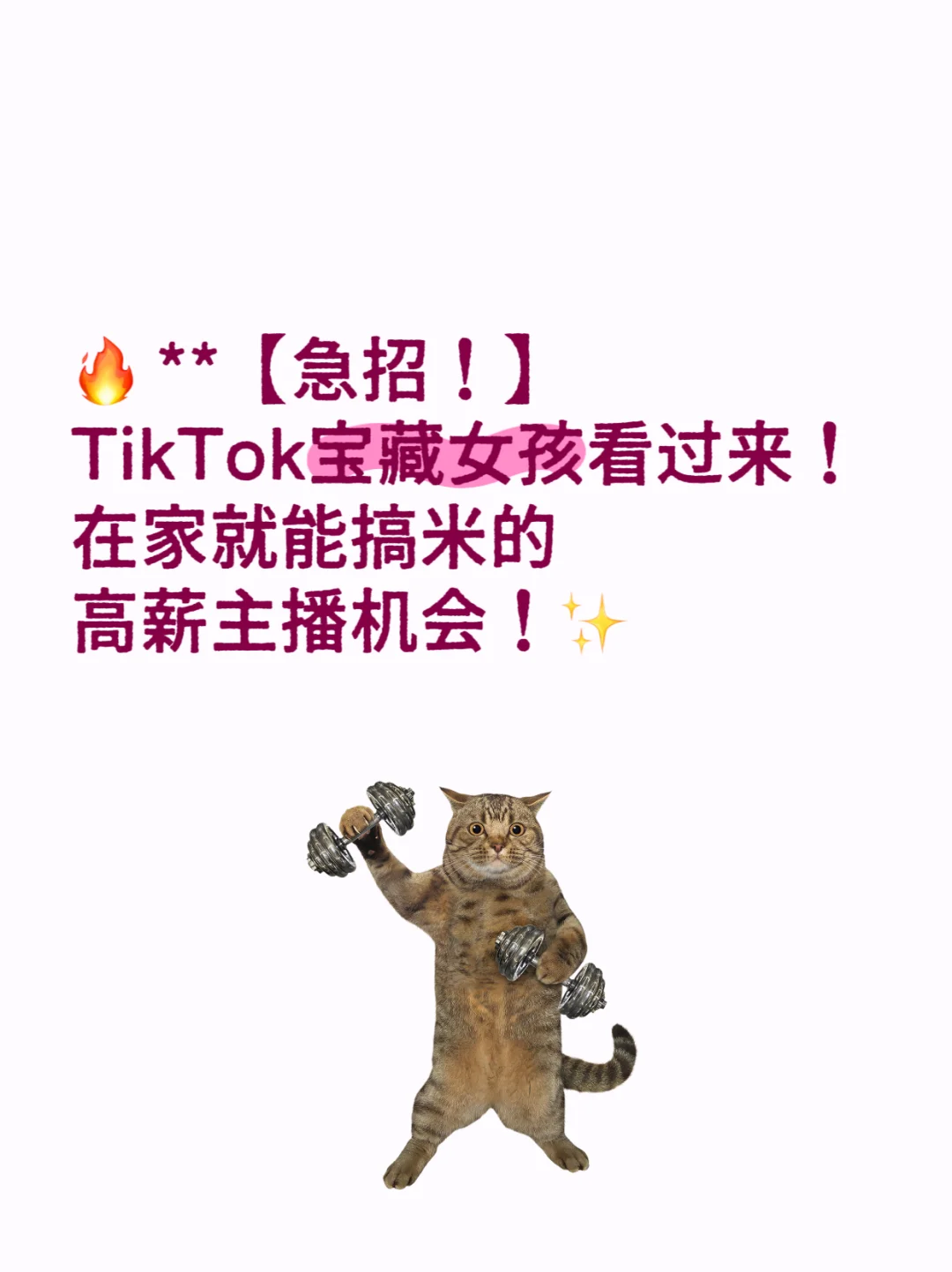 【急招!】TikTok主播!