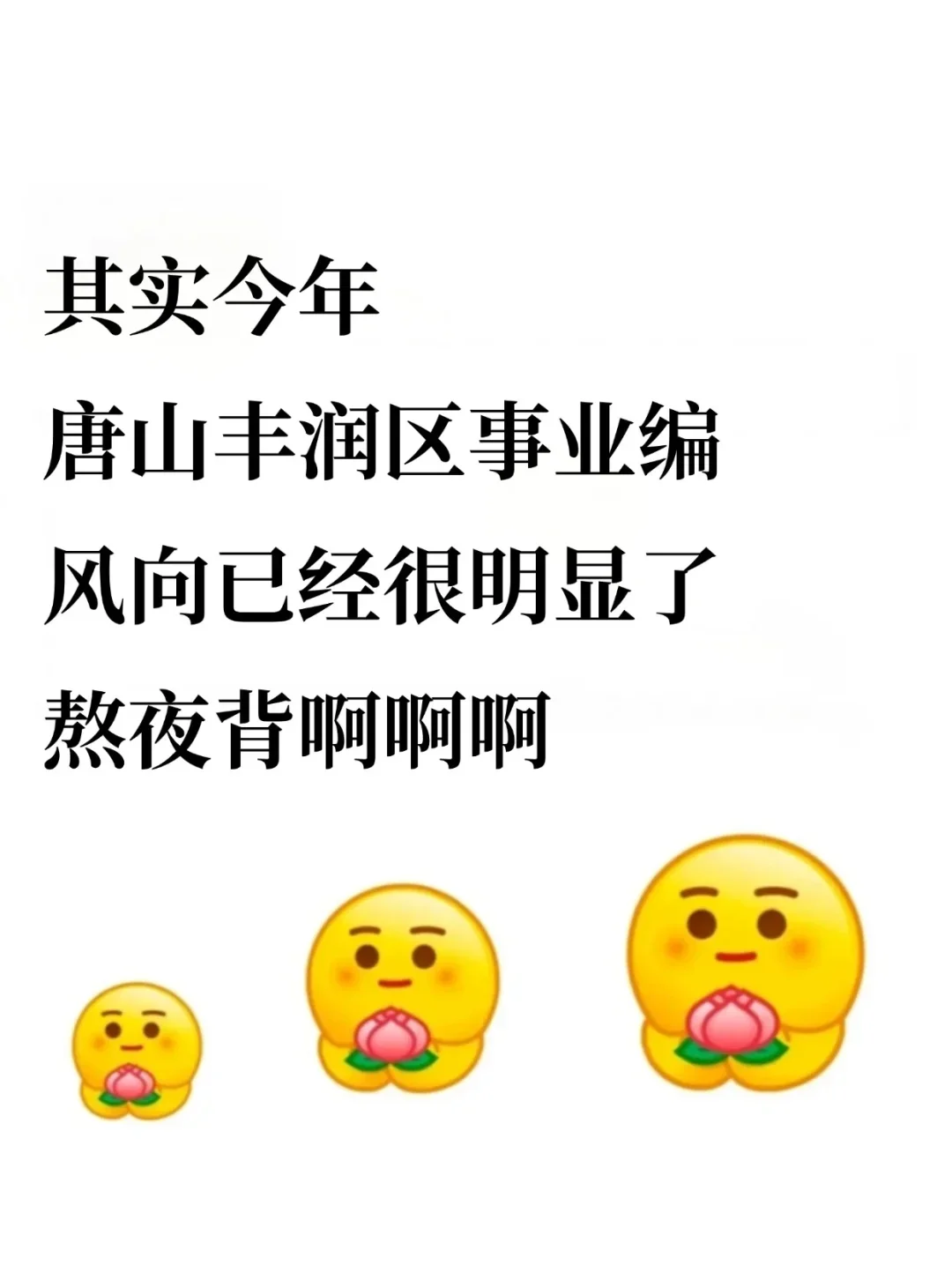 25唐山丰润区的风向很明显了，熬夜背啊