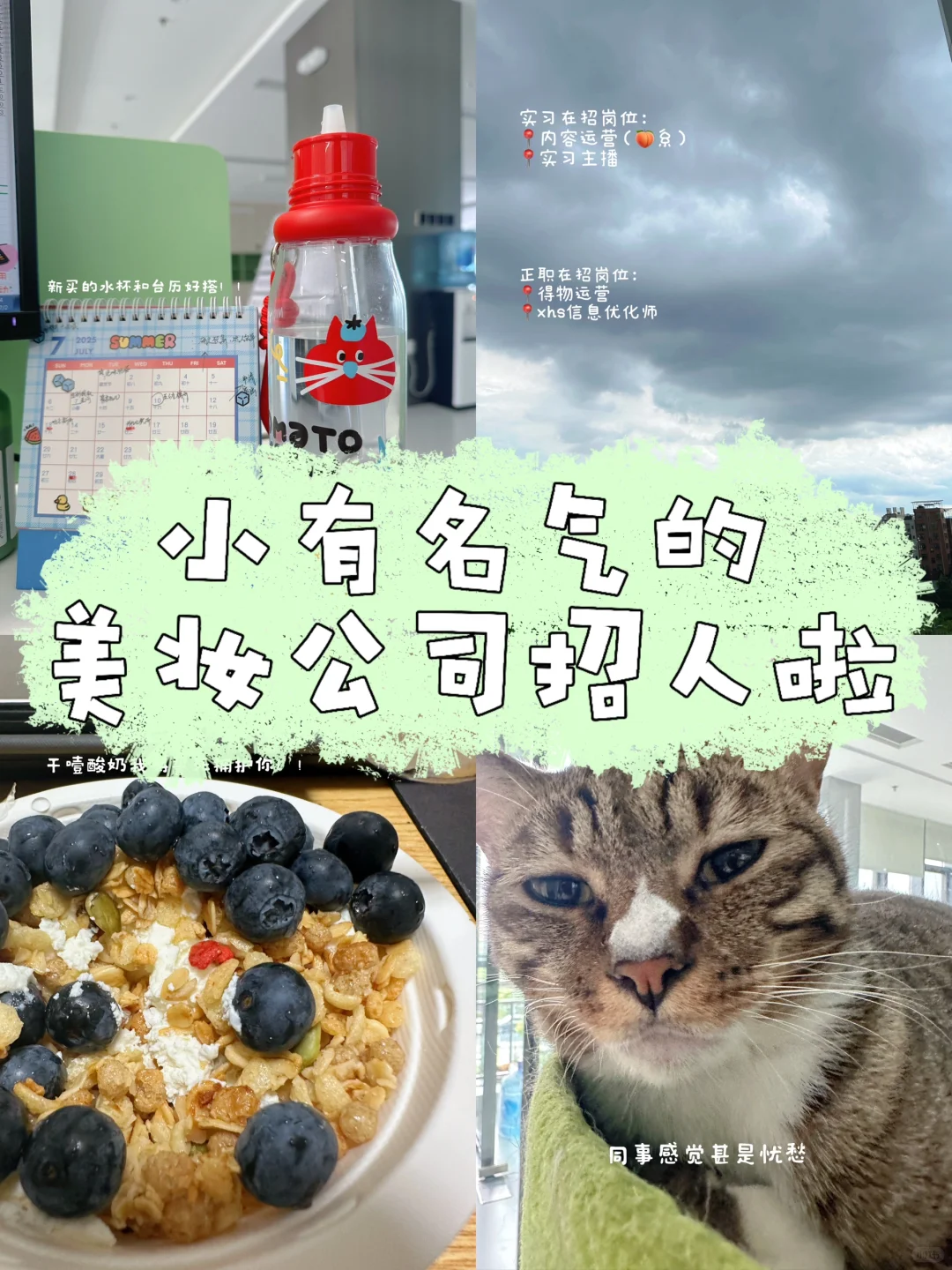 双休丨小有名气的美妆公司招人啦！