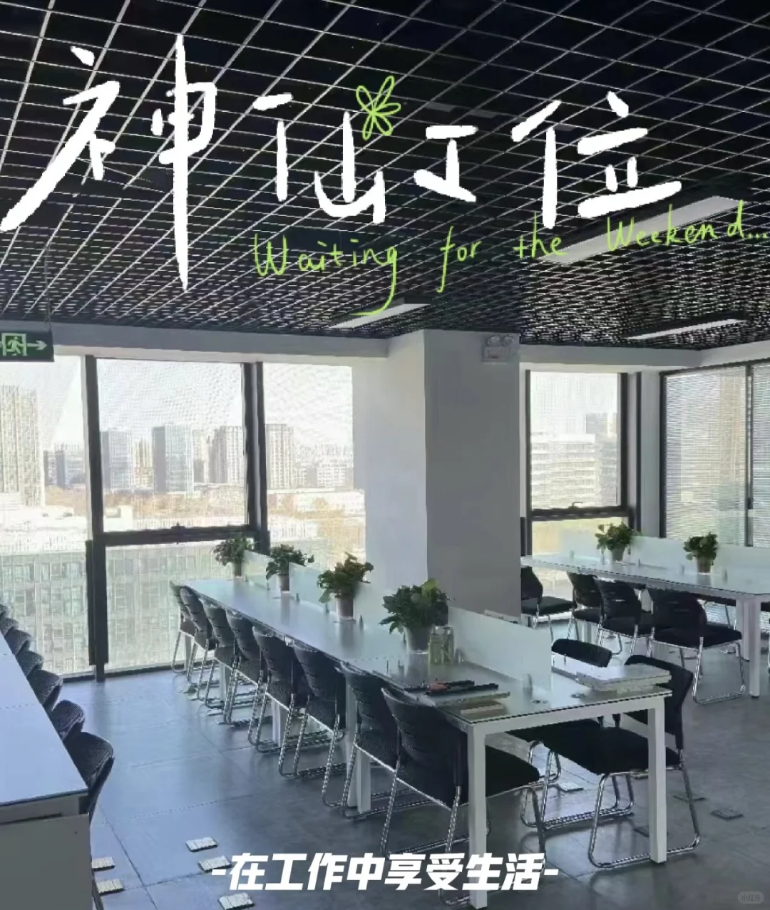 找帅哥美女工作搭子