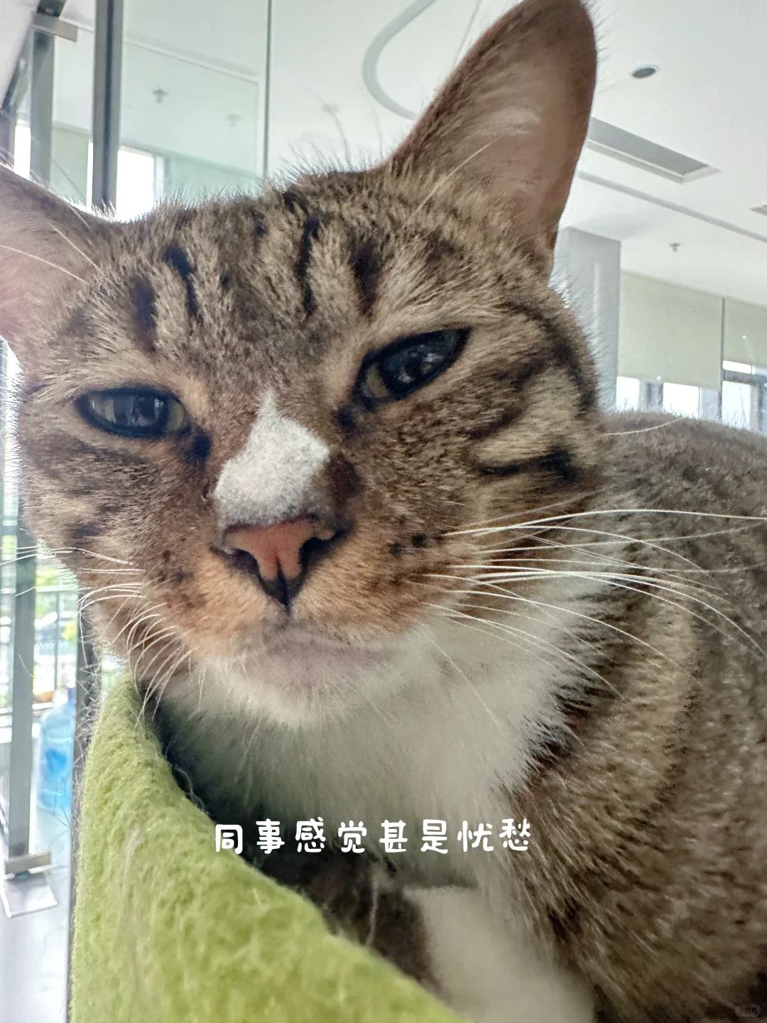 双休丨小有名气的美妆公司招人啦！