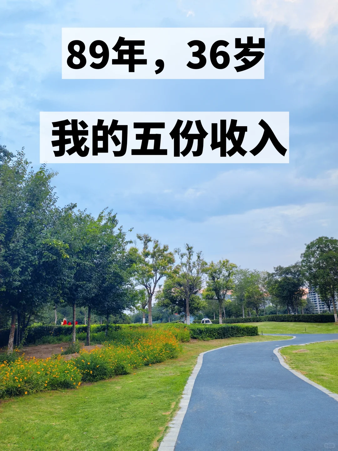 89年，36岁，下班后做自媒体我的五份收入
