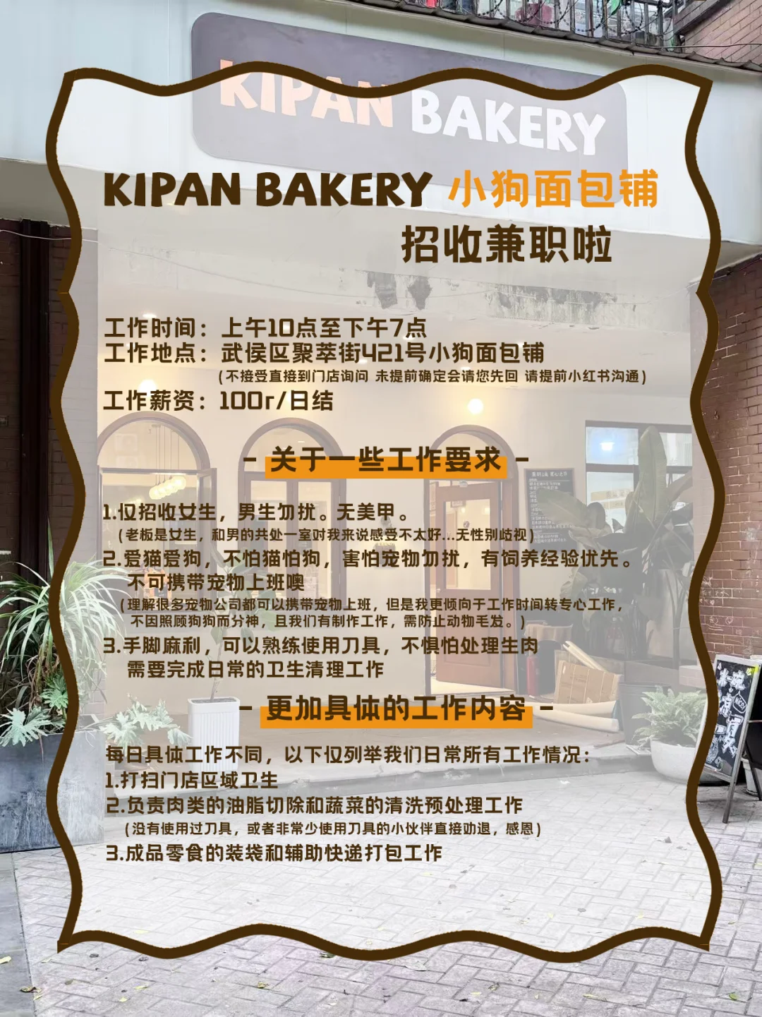 成都宠物烘焙店招兼职啦??欢迎来撸猫摸狗