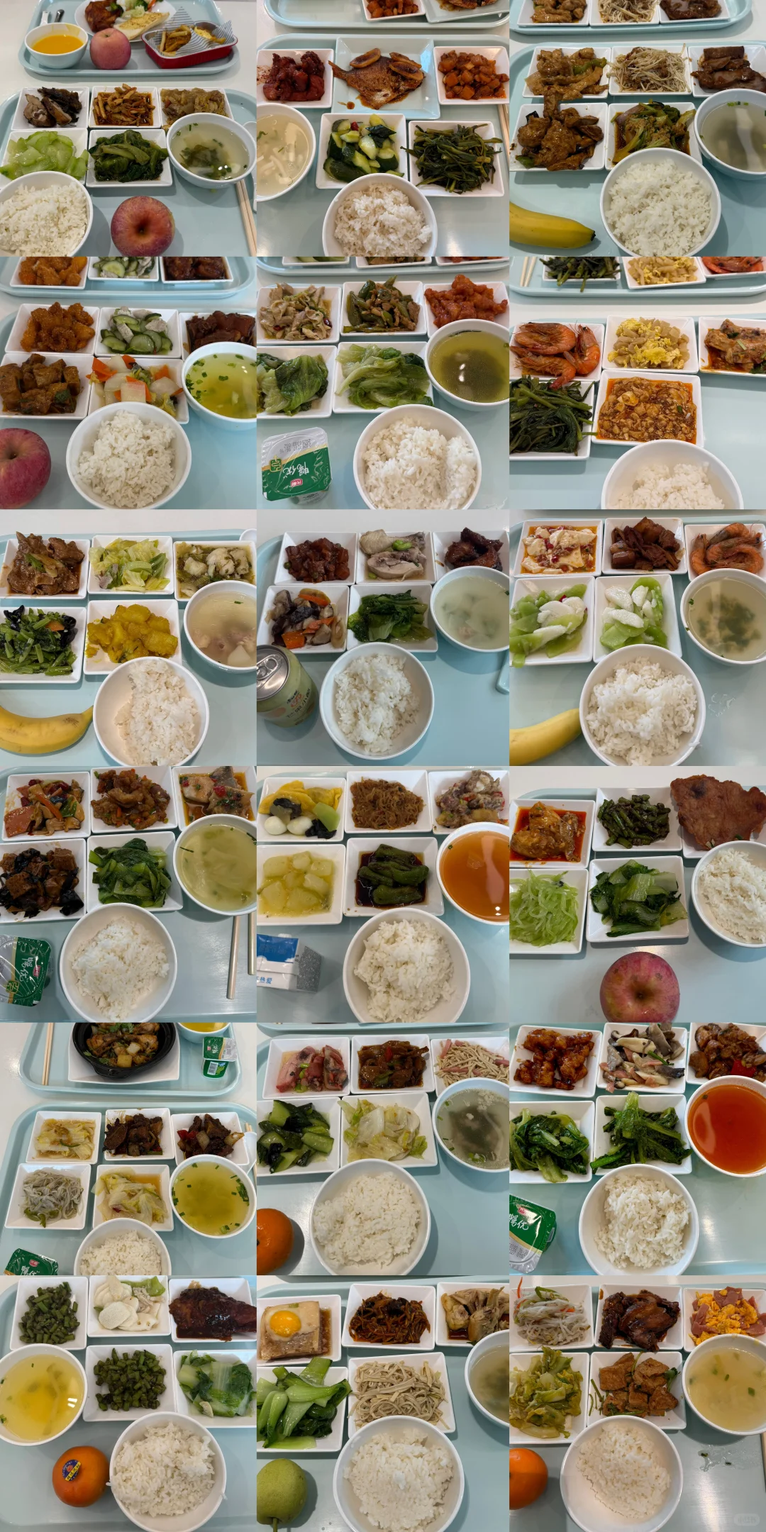【找继任】天下没有免费的午餐但是博泽有。