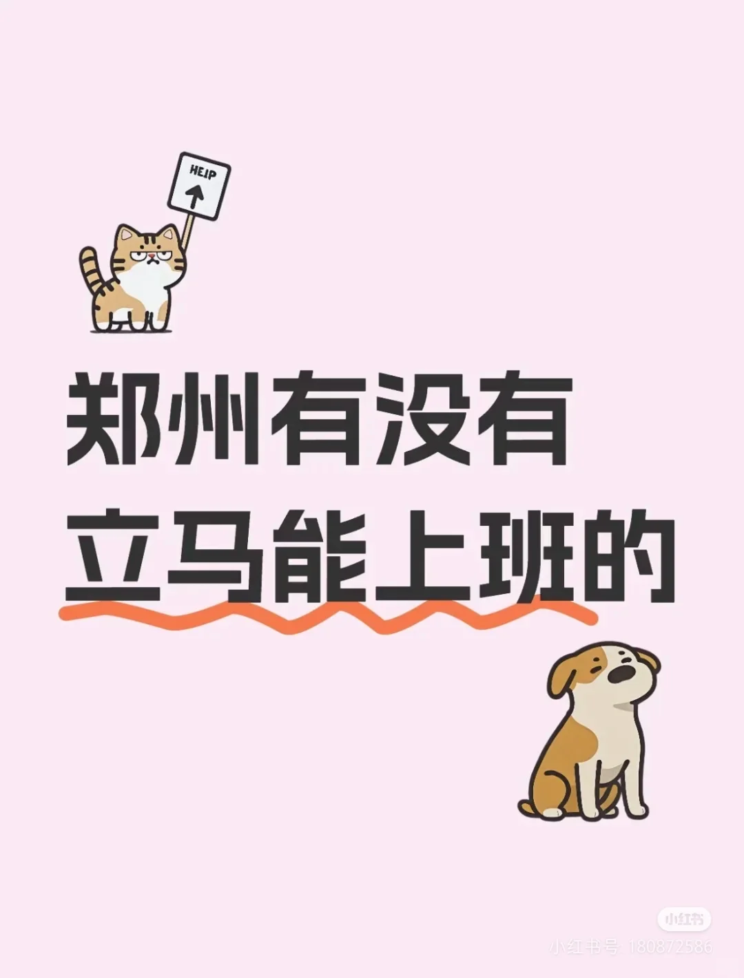 什么神仙公司，周末双休还有五险一金