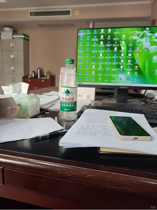 双非的我研二就开始布局秋招进国企,结果