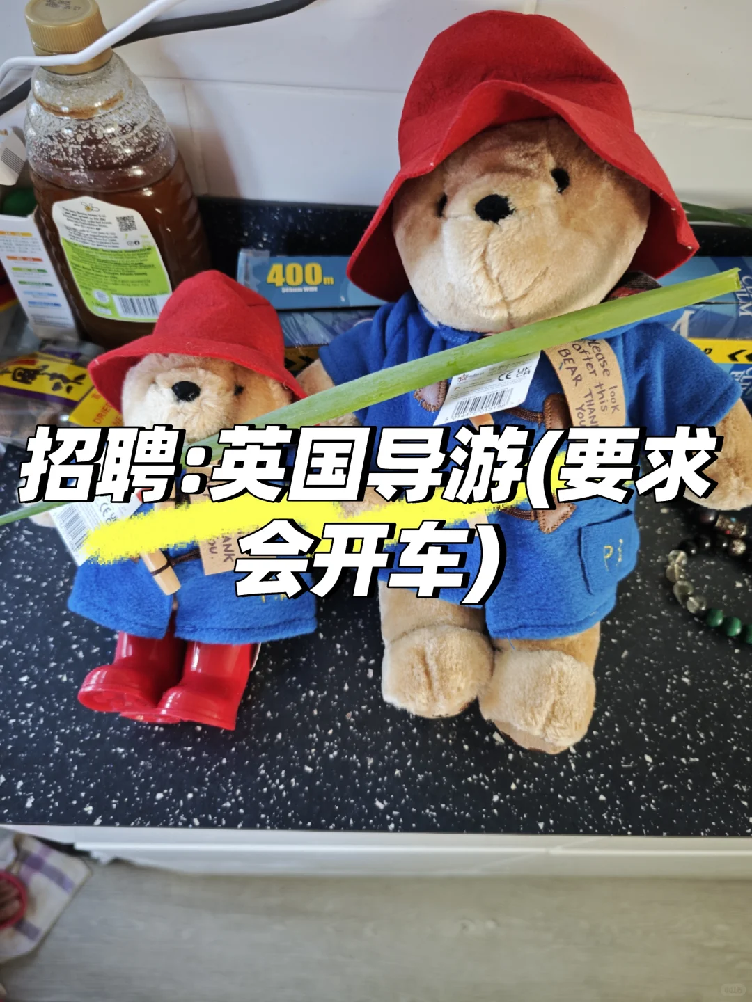 英国旅游公司招聘导游(会开车)