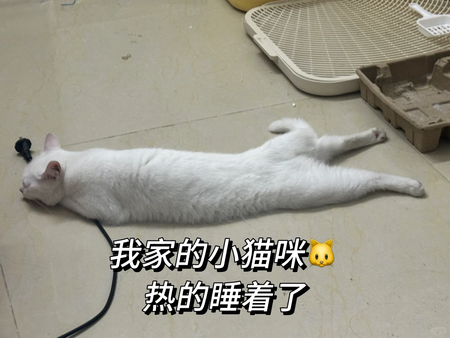 东莞石龙美能达周末双休长白班快来!
