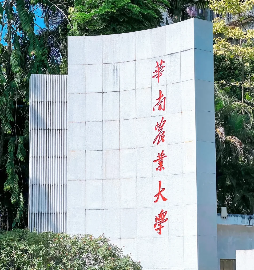 华南农业大学招聘,压箱底的都告诉你了