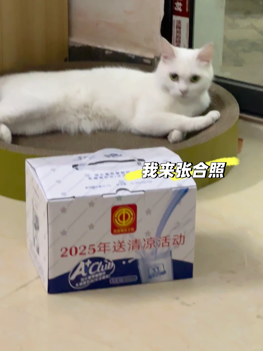 东莞石龙美能达周末双休长白班快来!