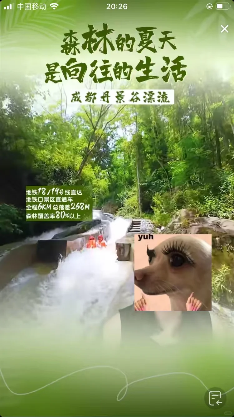 7月中旬，那还有哪些宝子在找工作呢？