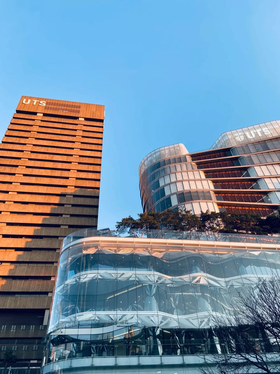 澳大利亚悉尼科技大学招聘博士和博后