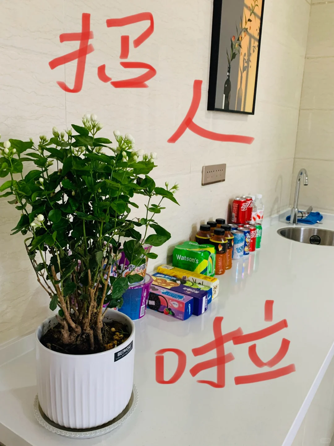 咱银川自己的好工作 实习