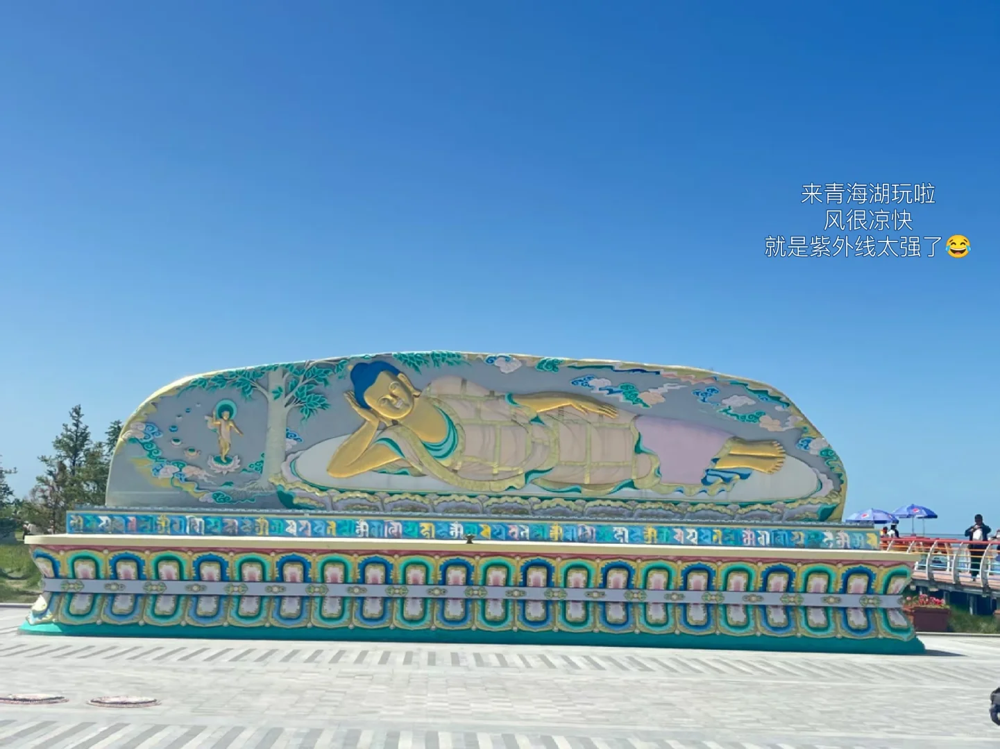 硕士进高校太幸福了❗全攻略✨先码后学❗