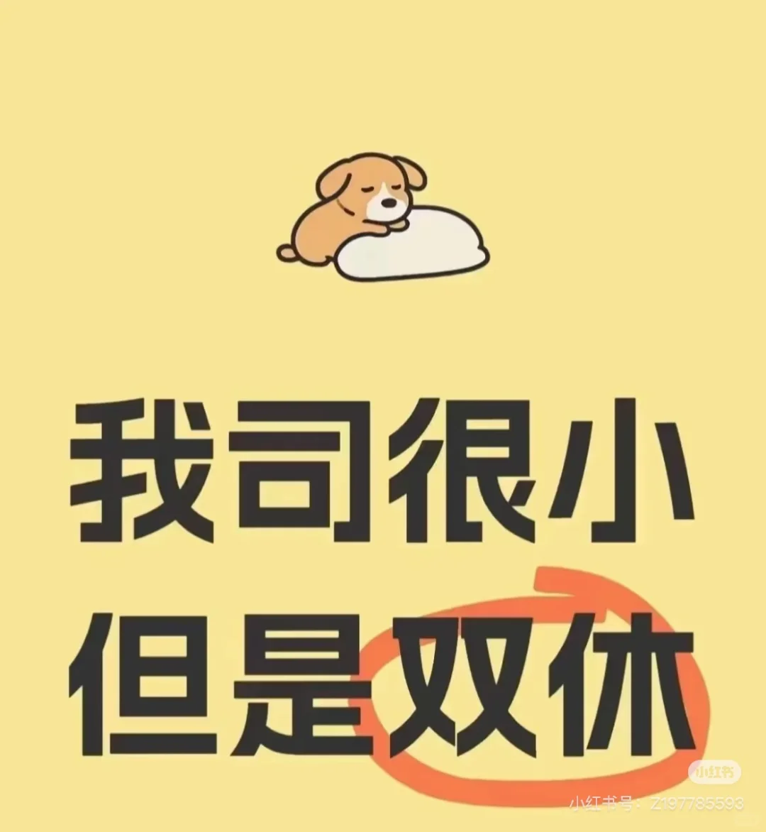 小而温馨的公司，找直播运营搭子✨