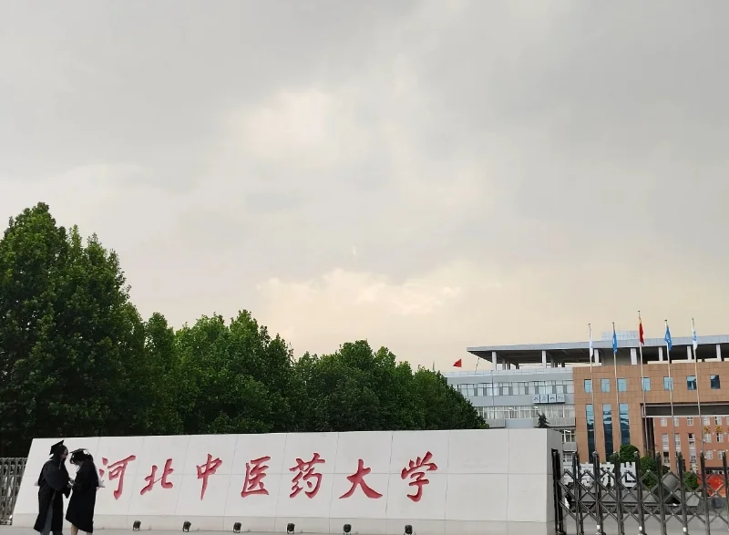 河北中医药大学，招聘带编辅导员内部消息