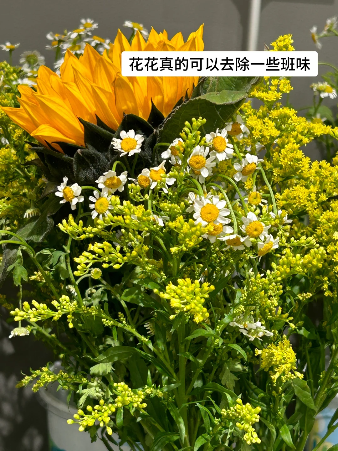 谁说民办二本找不到工作？