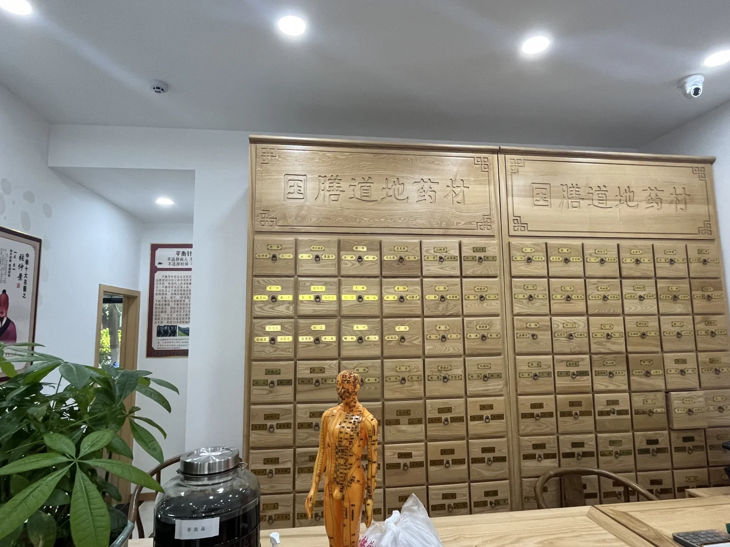 招聘中医执业医师啦,待遇可谈