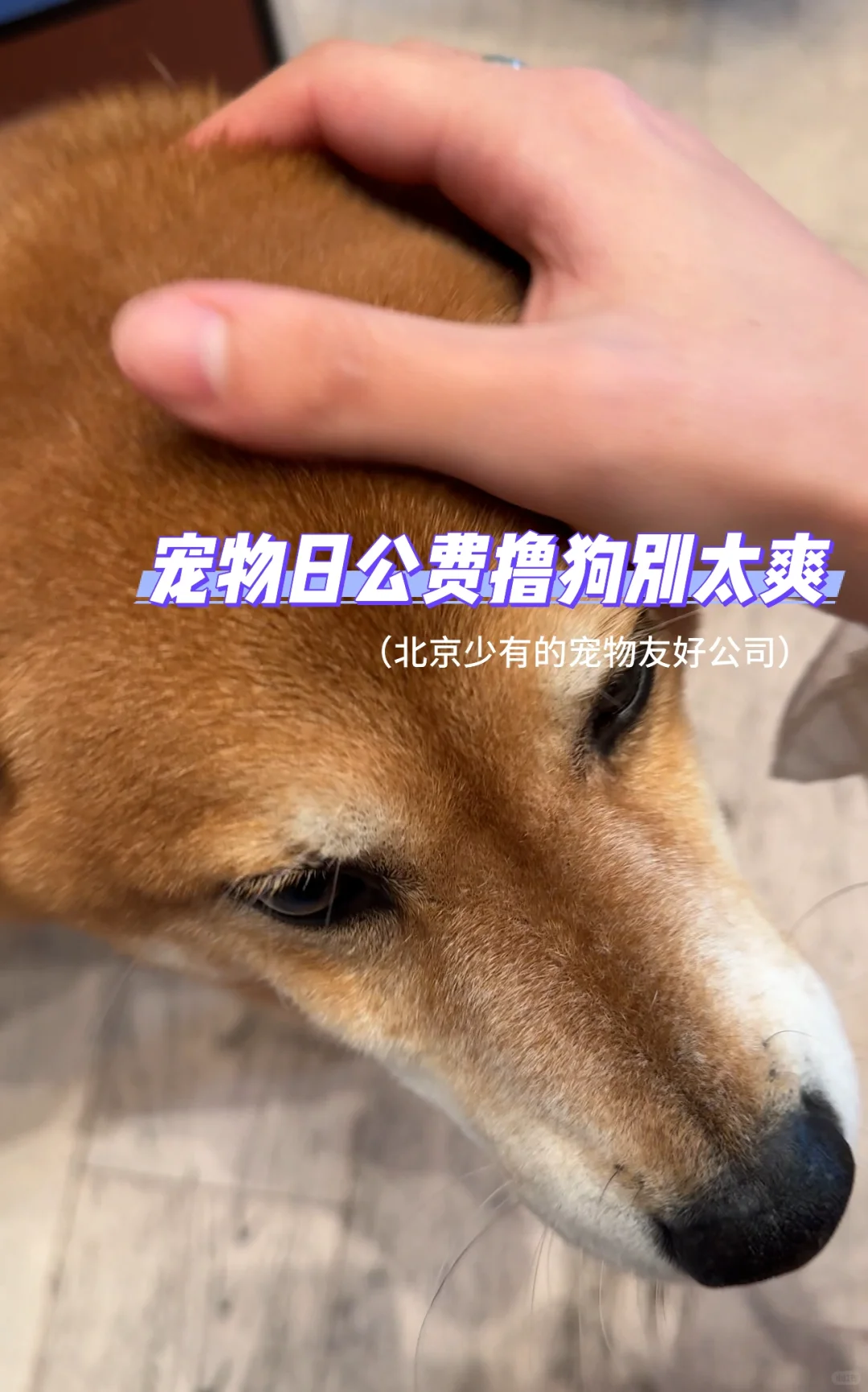 马当路练习生|直播产品运营面试必看!