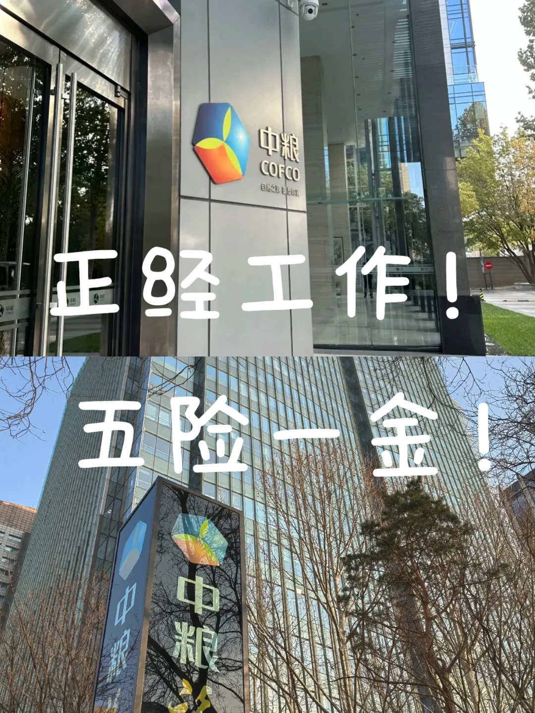 中粮行政文员!国企+五险一金!