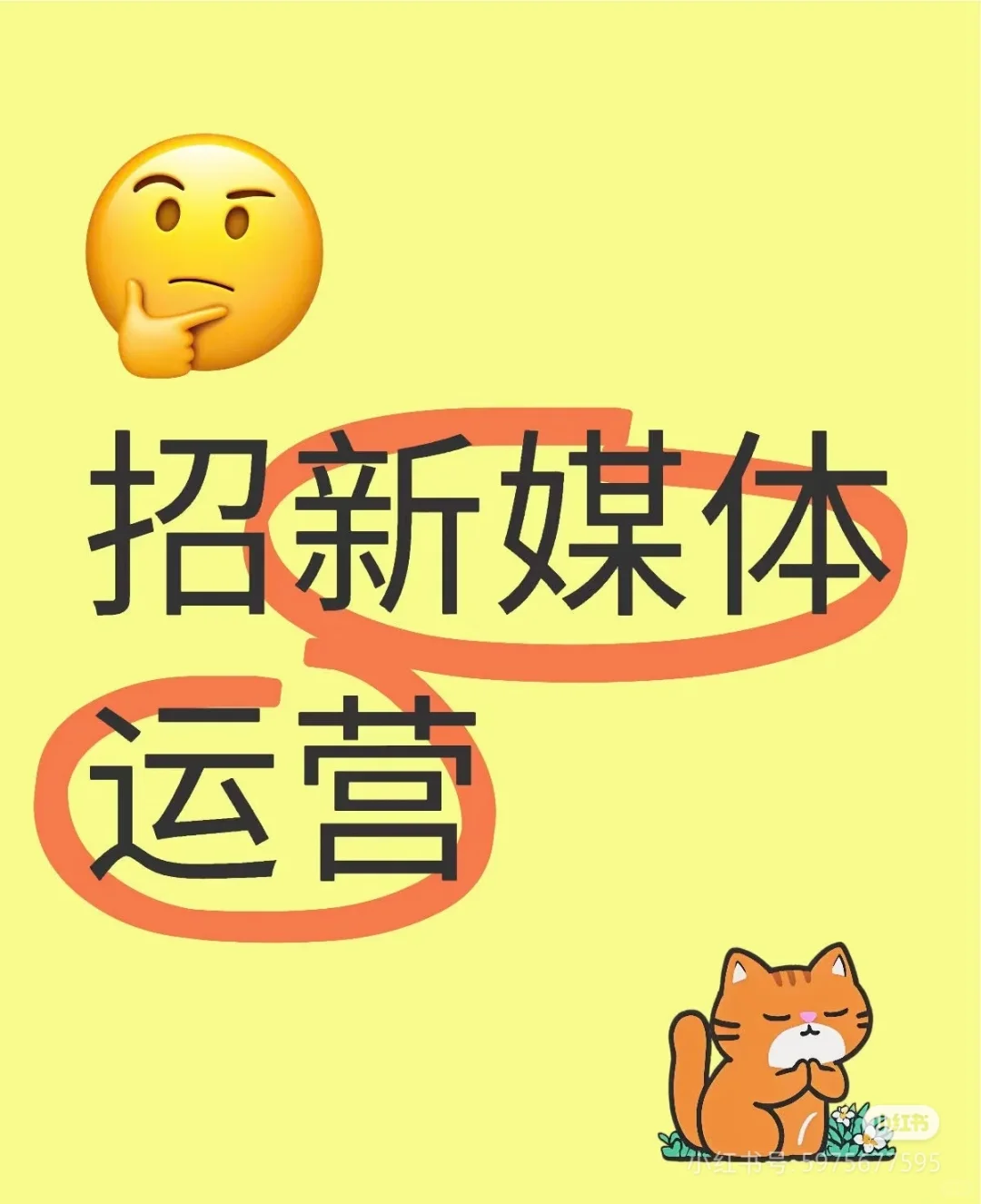 高薪招—新媒体运营岗