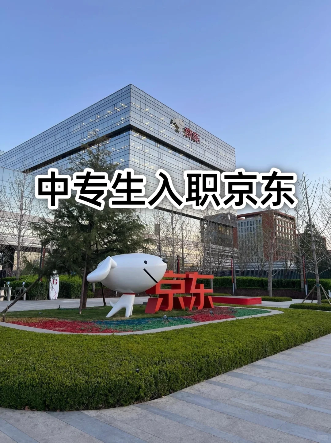 中专生入职京东，成功逆袭双休➕