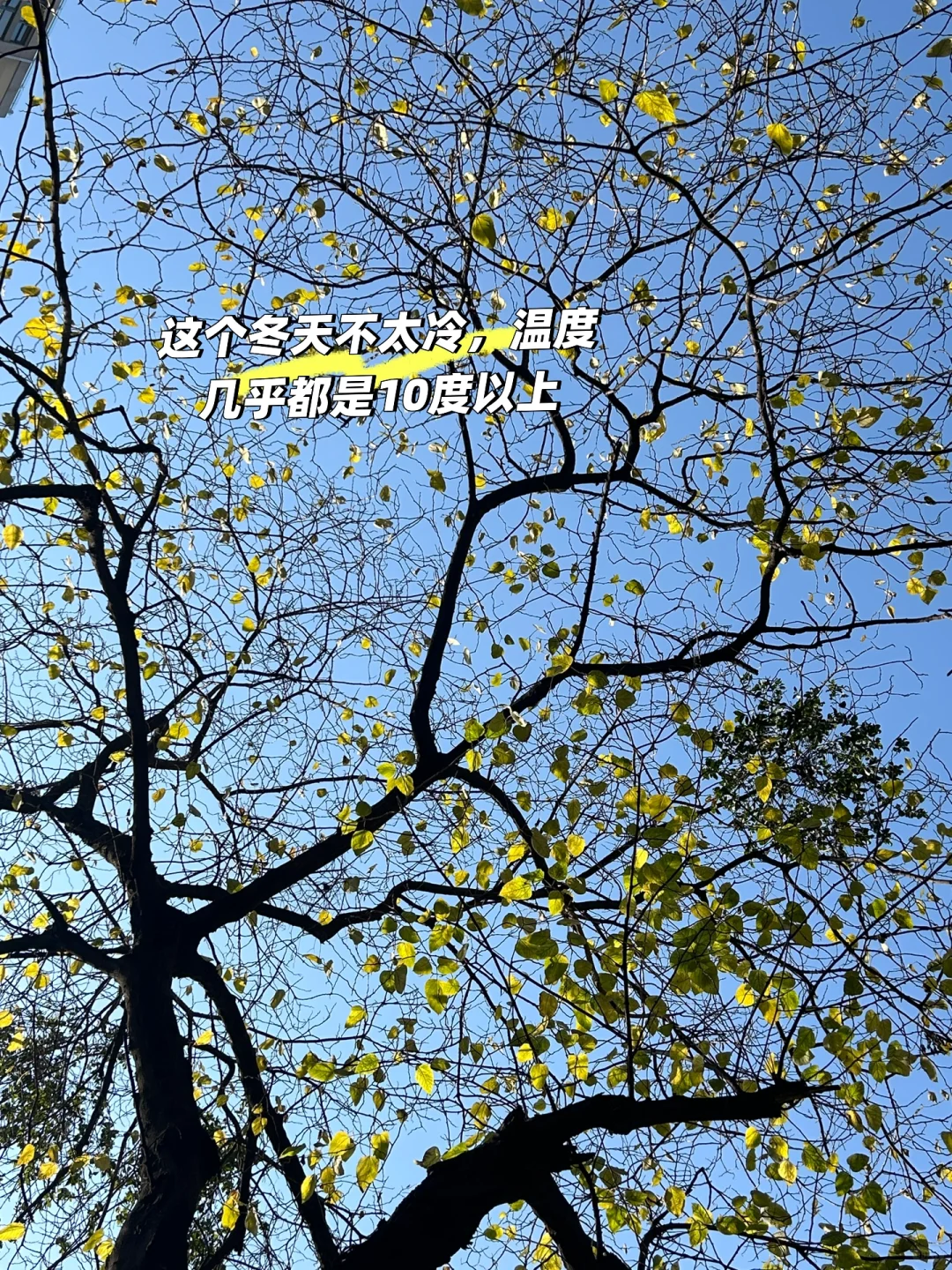 谁说民办二本找不到工作？
