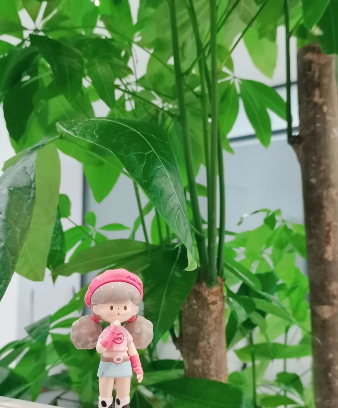 邯郸真的没有好工作吗？