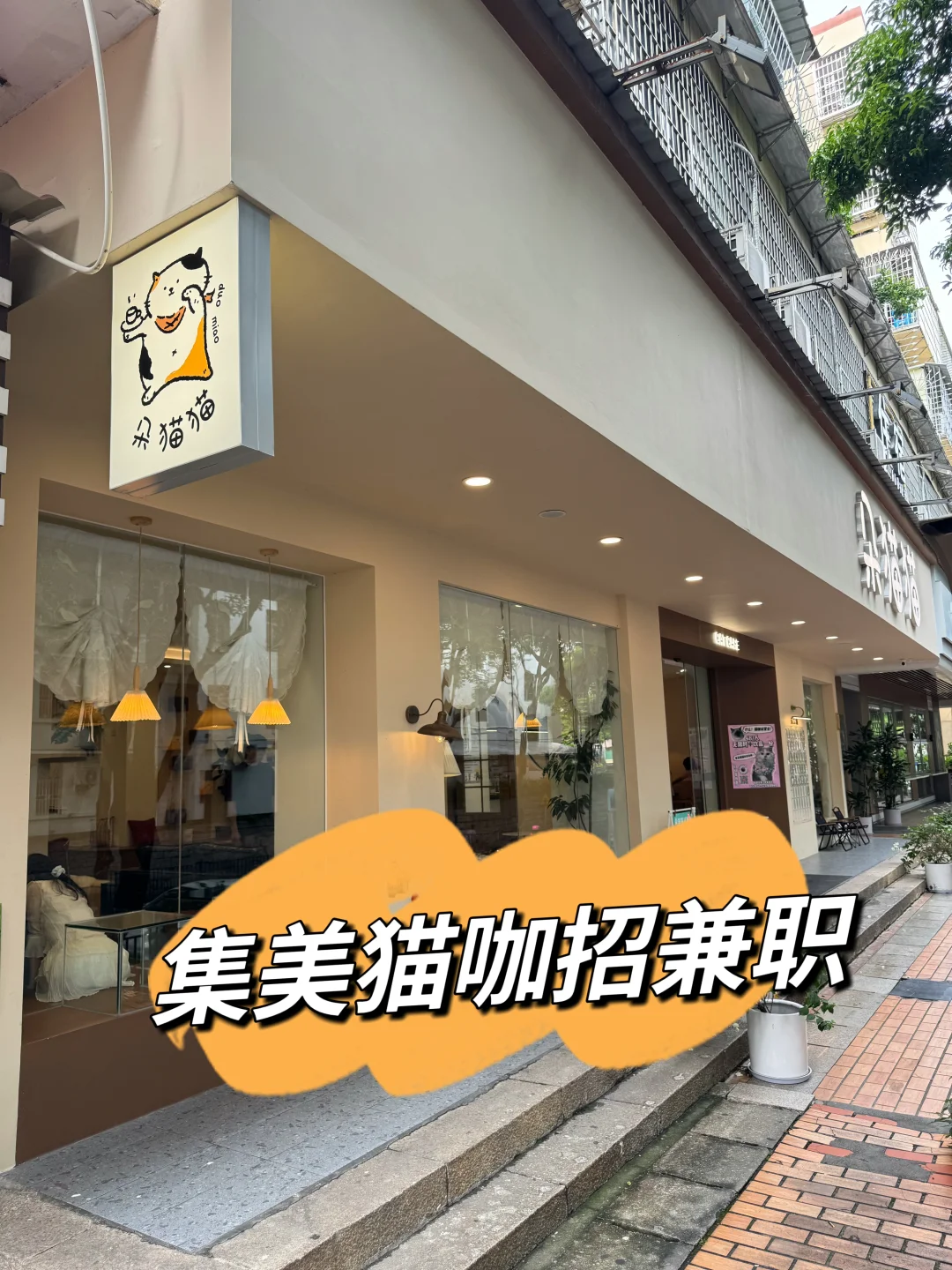 集美猫咖招工！
