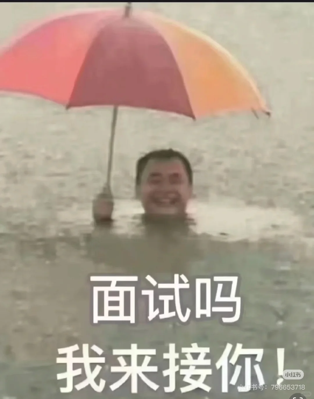 面试吗，我来接你！