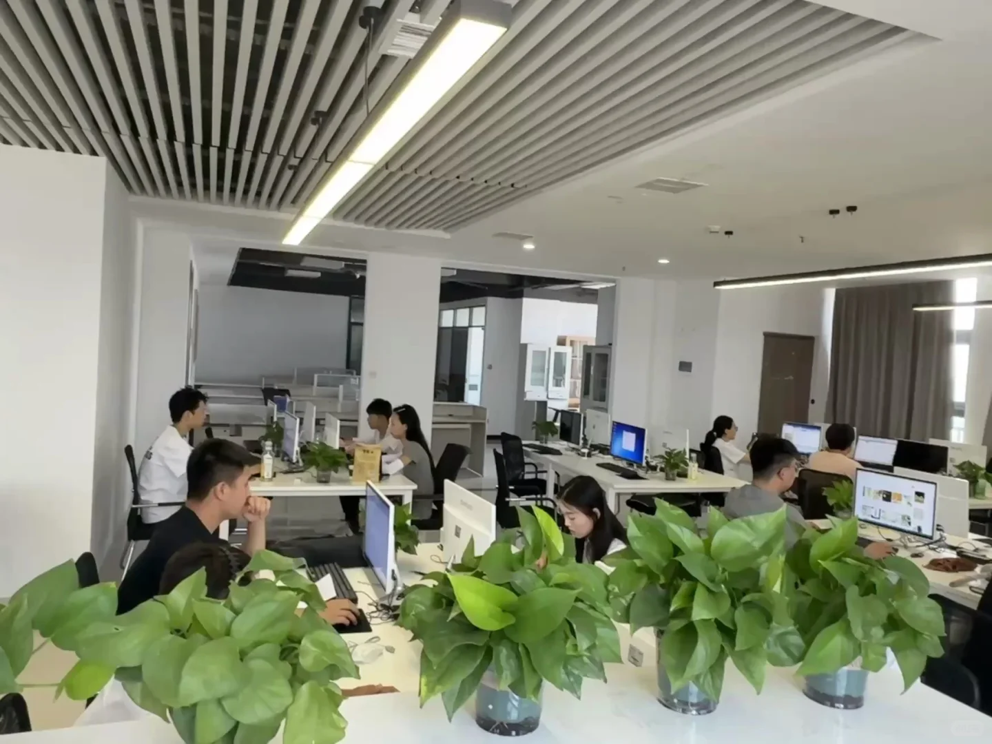 坐标濮阳 电商公司招聘前台和运营